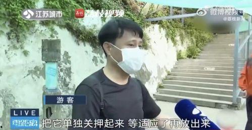 吃瓜逛街的网红是谁啊,她是如何成为网络红人的？